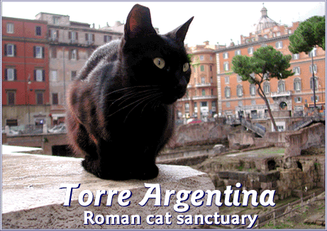 Clic para ver el sitio de los Gatos Callejeros de Roma