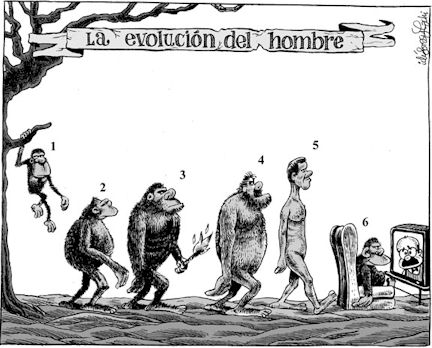 Los monos del Zoo de Jerez, vistos por Idígoras y Pachi